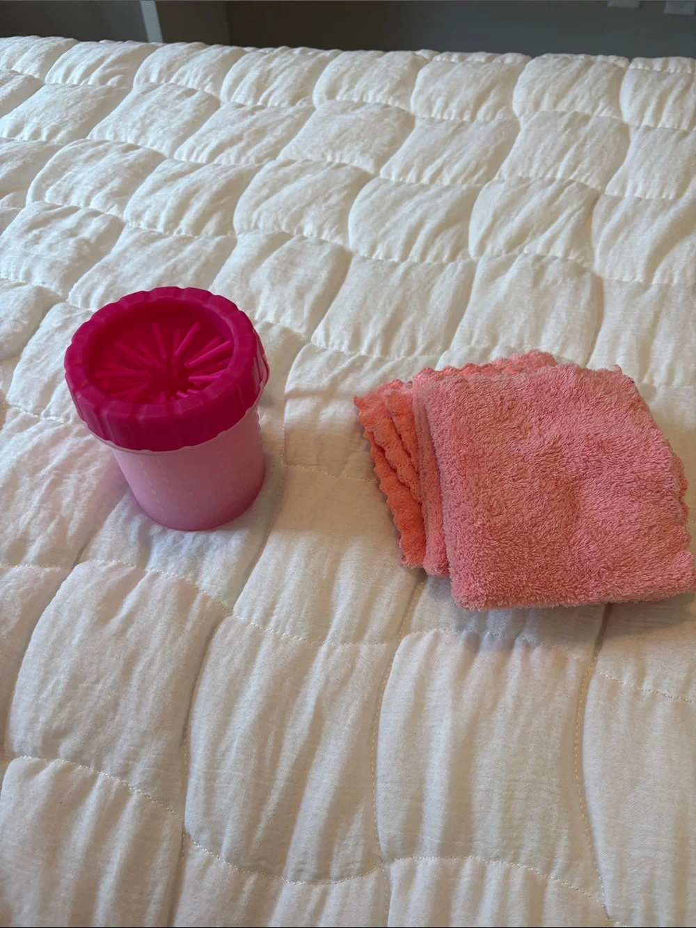 Dog paw cleaner